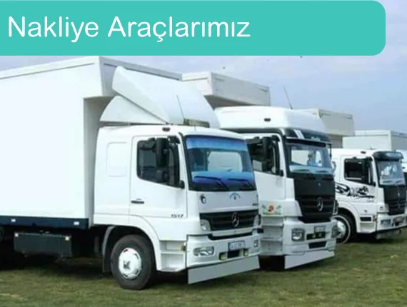 araçlar