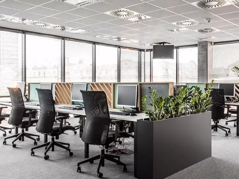 ofis